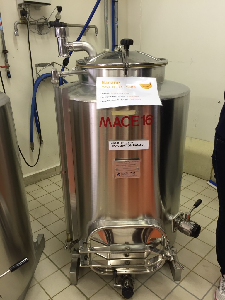 giffard maceration