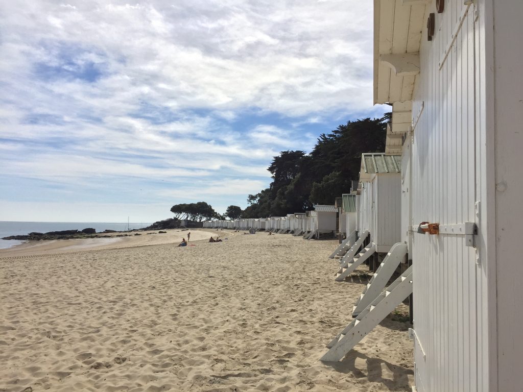 ARTICLE NOIRMOUTIER 448